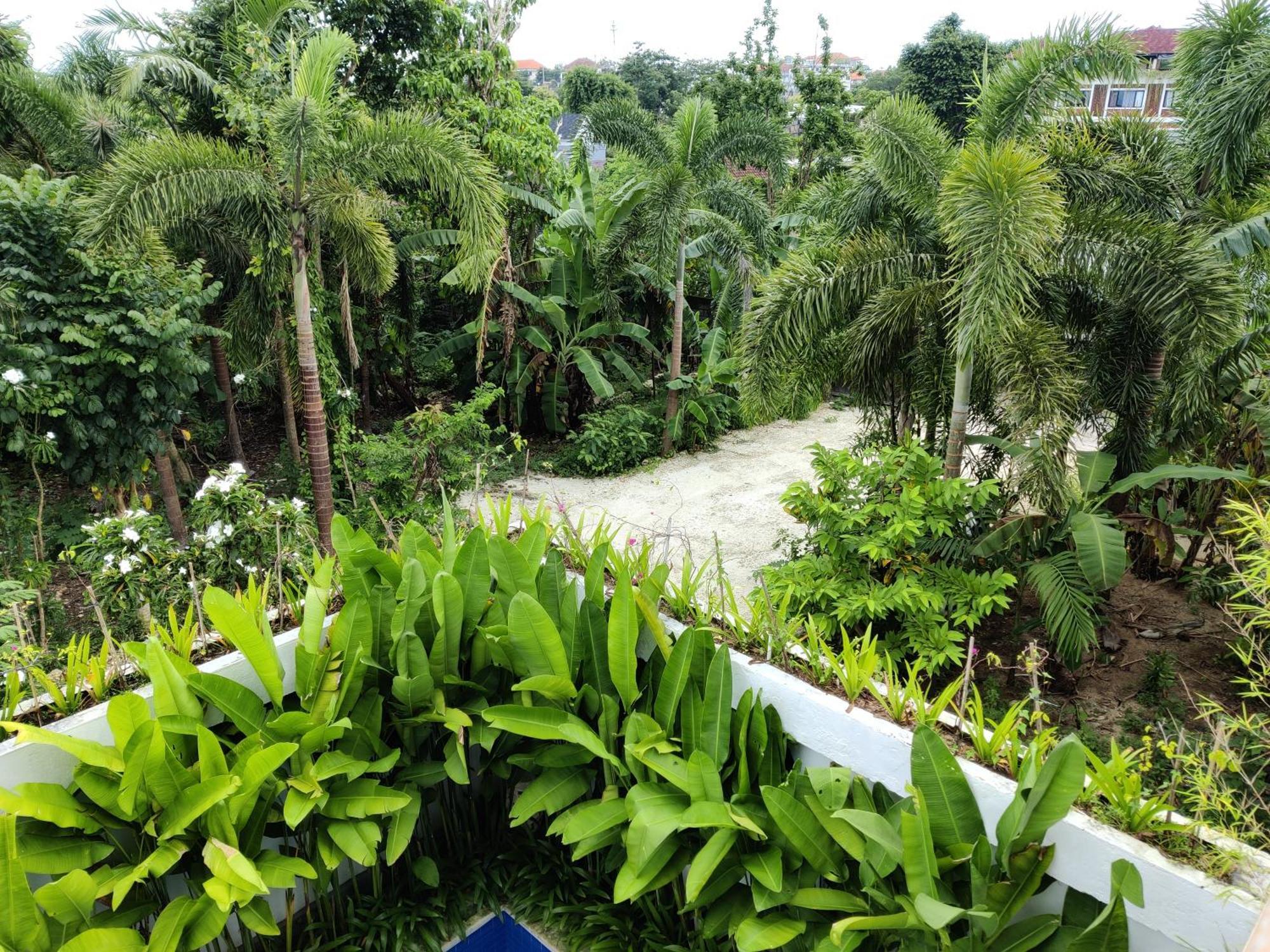 Dreamland Guest Bali Villa Ungasan Exteriör bild